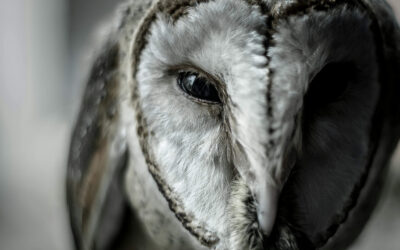 03// Persoonlijk leiderschap