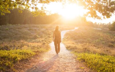 02// Krachtige keuzes